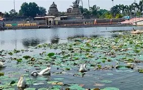 Nalgonda Photo 7